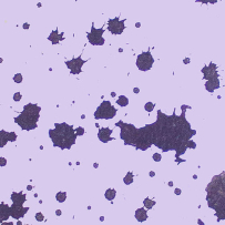 Datacrashrobot - Embedded system, FLAC (tracks+.cue), lossless