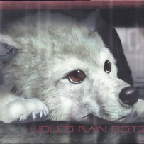 《狼雨》Wolf's Rain [OST2], lossless (image+.cue).flac