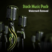 Stock Music Pack (Watermark Removed) (WAV, MP3 16bit 320-3072 k